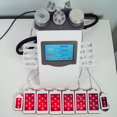 Vakuum 6 in 1 Körper Lipolaser, der Purpur der Maschinen-40KHz für Gewichtsverlust abnimmt