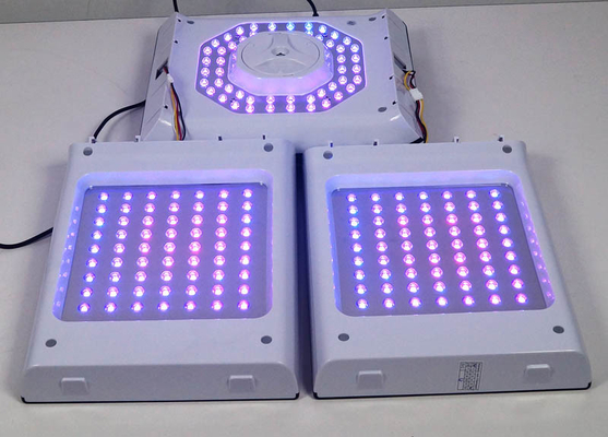 Rote helle PDT LED im Gesichtfarbe der Lichttherapie-Maschinen-24W 6 für Akne