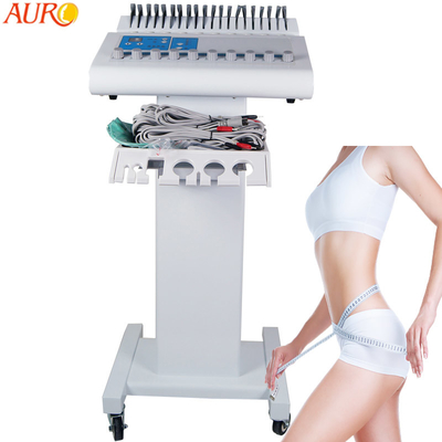 Ems-füllt Elektromuskel-Anreger-Maschinen-Elektrode Brust-Auflagen-Festlichkeit Cellulite auf