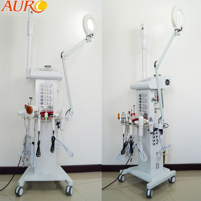 Lupenleuchte der Salon-Vakuumspray-Multifunktionsgesichtsmaschinen-110V 220V